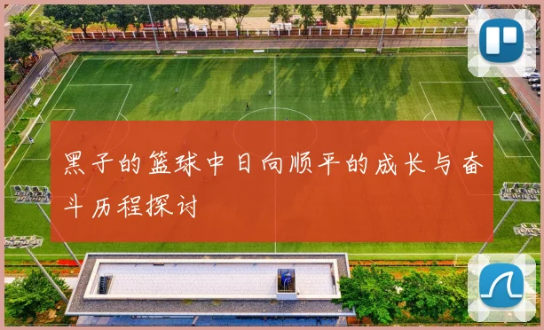 黑子的篮球中日向顺平的成长与奋斗历程探讨