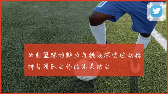 面前篮球的魅力与挑战探索运动精神与团队合作的完美结合