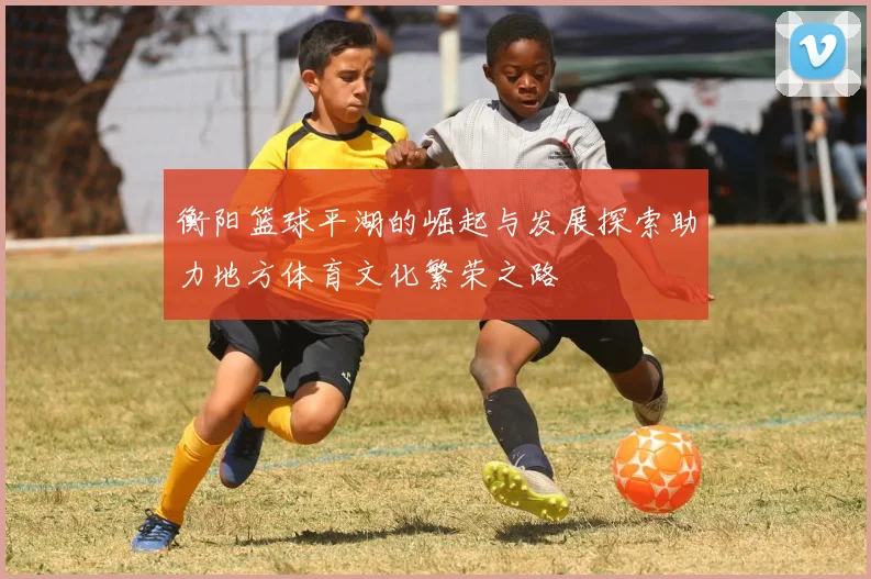 衡阳篮球平湖的崛起与发展探索助力地方体育文化繁荣之路